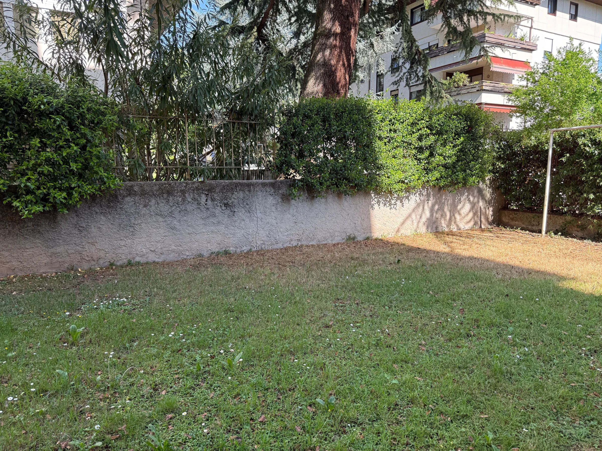 Attico di rappresentanza con vista parco – Palazzo Ducale
