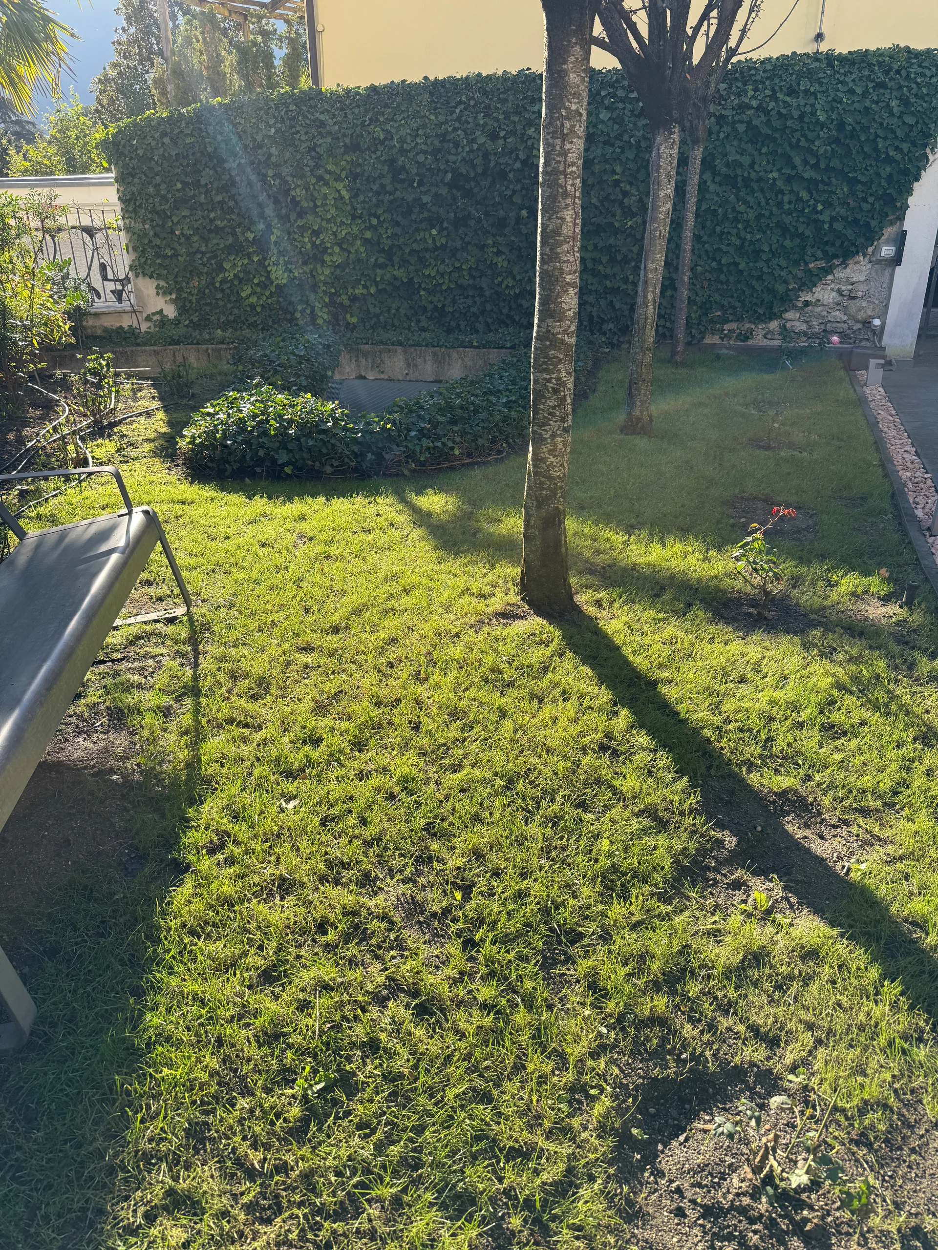 Prestigioso ufficio Merano centro pedonale