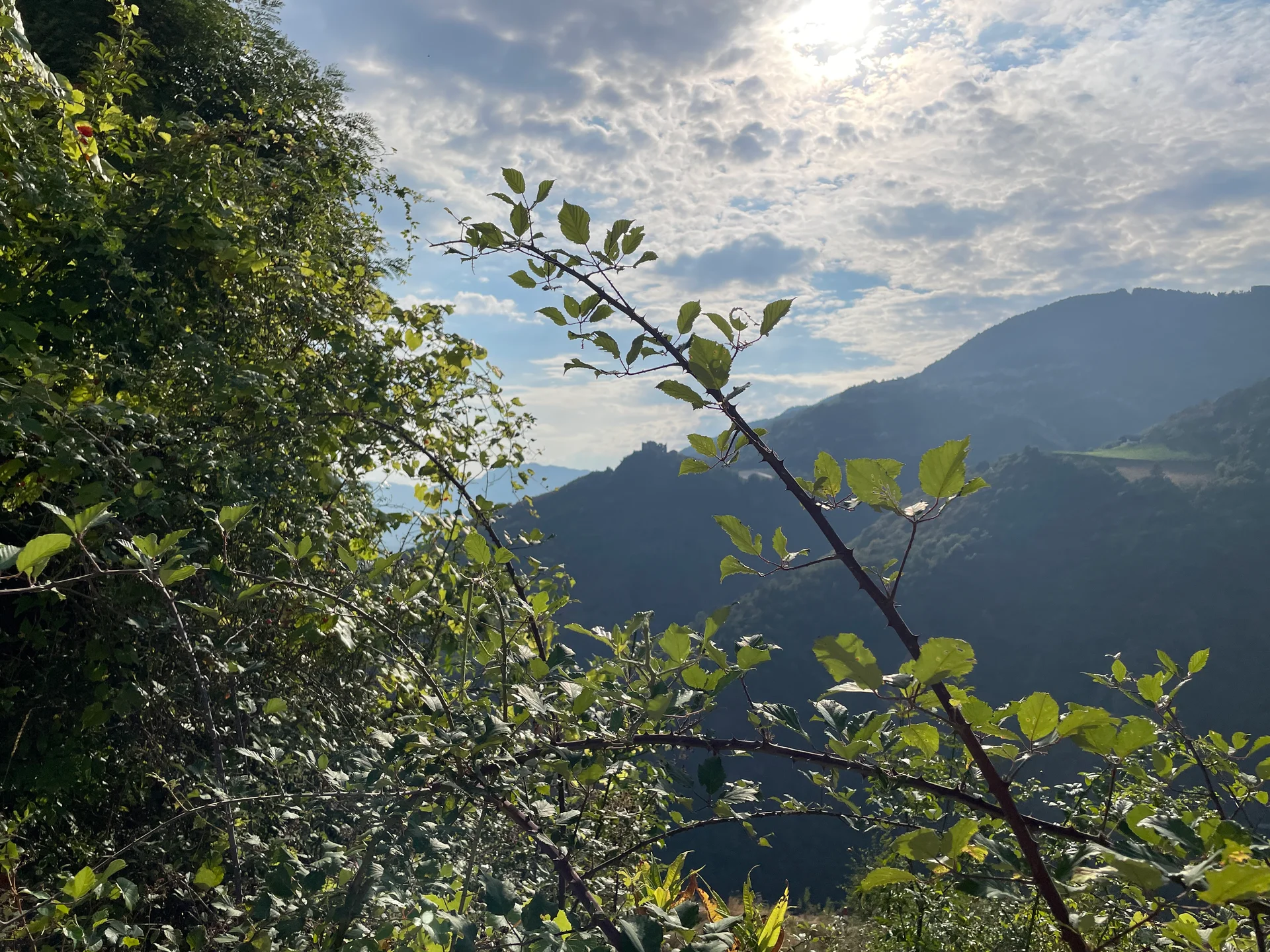 Nicht nur eine Villa. Eine Top-Lage.