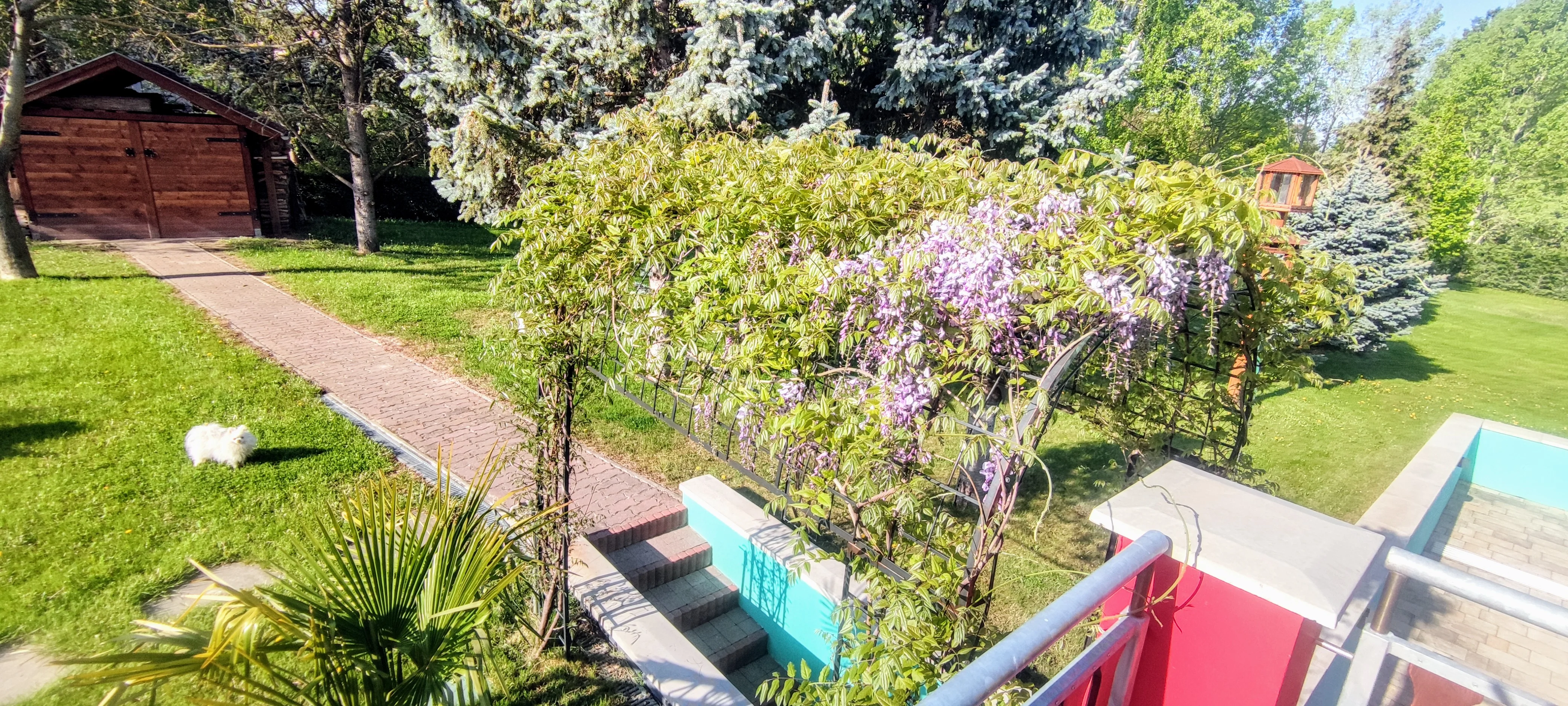 Villa moderna con piscina sul Lago Balaton